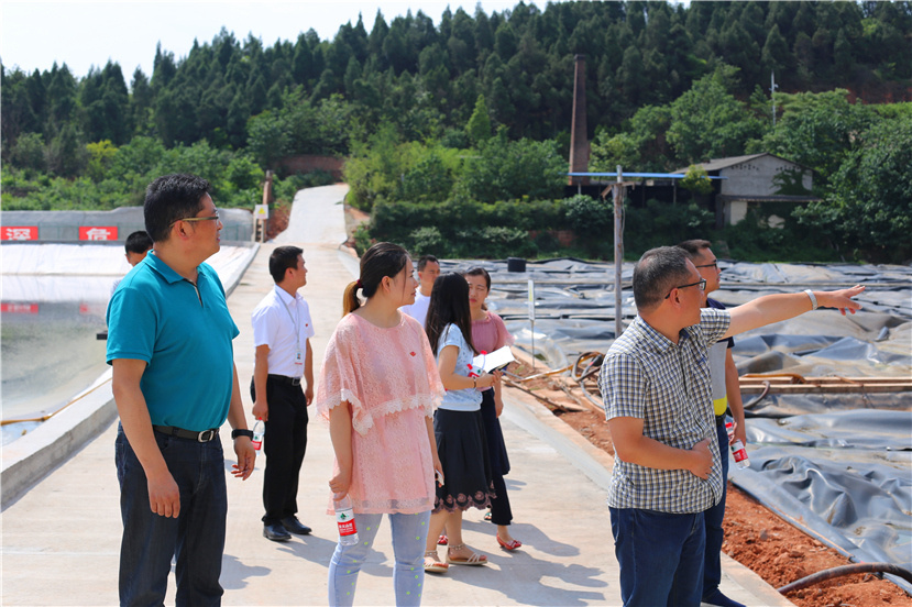 集團第一檢查組檢查杰陽排水公司、固廢處置公司安全防汛和環(huán)保達標各項工作3_副本